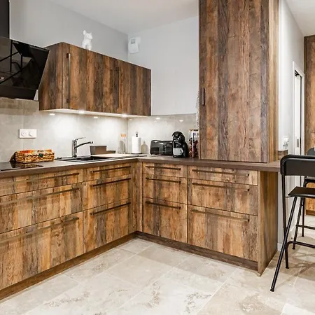 Aux Fleurs De Darcy Confort Centre Appartement Dijon