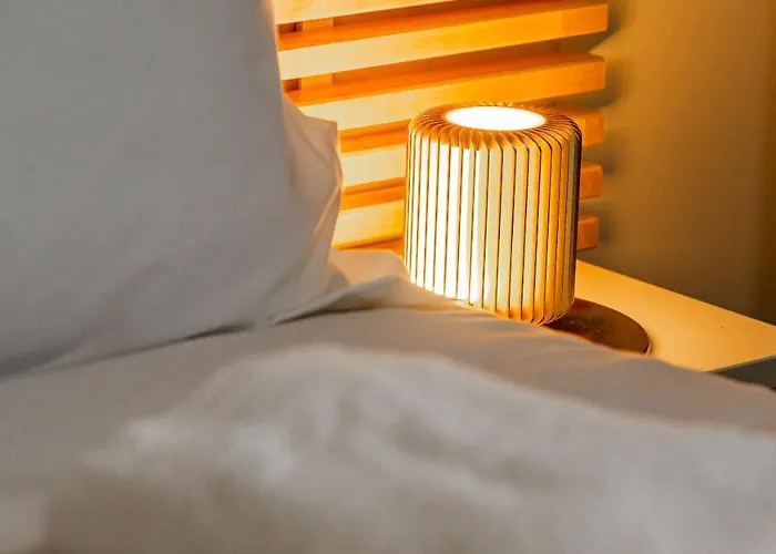 דירה Aux Fleurs De Darcy Confort Centre דיז'ון