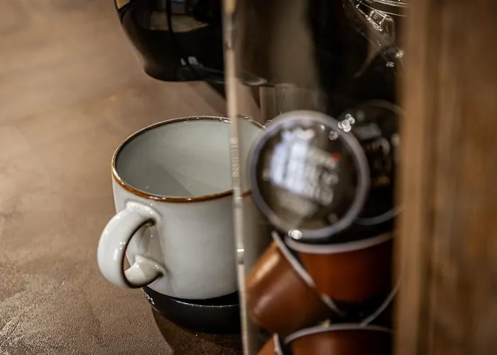 דירה Aux Fleurs De Darcy Confort Centre דיז'ון